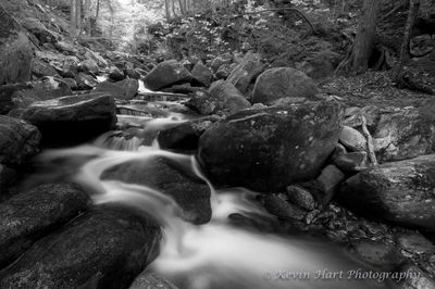 A mountain stream flows on a spring day, rendered in black and white.