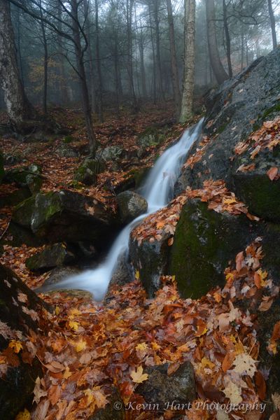 A small cascade flows through freshly fallen autumn leaves and a foggy forest.