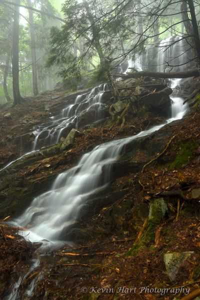 Flowing water in the foreground leads up to a foggy forest.