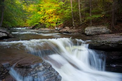 "The Slide": Murray Reynolds Falls of Ricketts Glen State Park (PA) in the early stages of autumn.